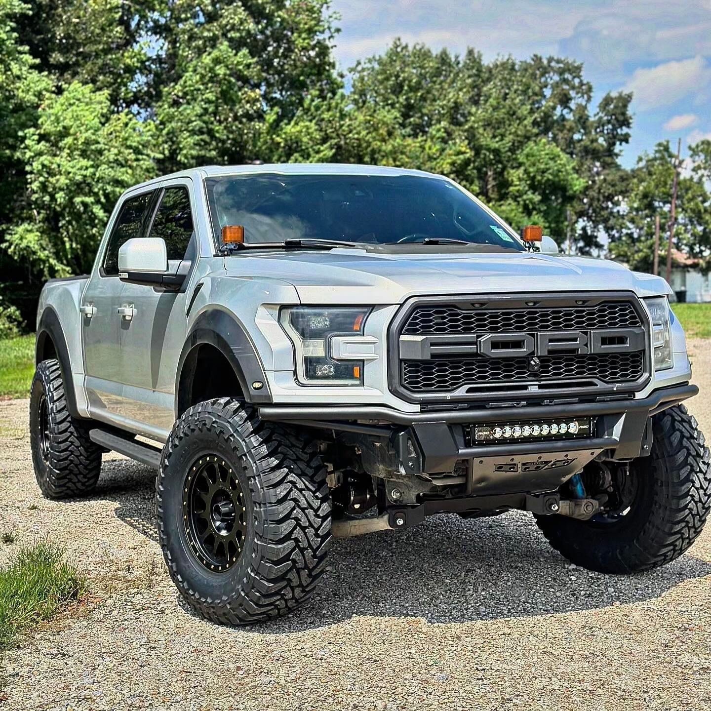 Grey Raptor