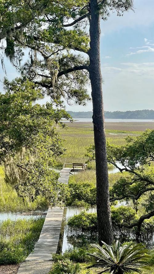 A wooden walkway leading to a body of water surrounded by trees.