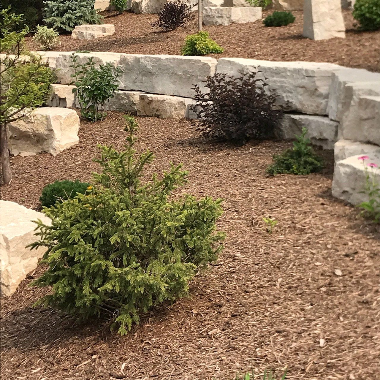 The Luxury Landscape Company, LLC photo