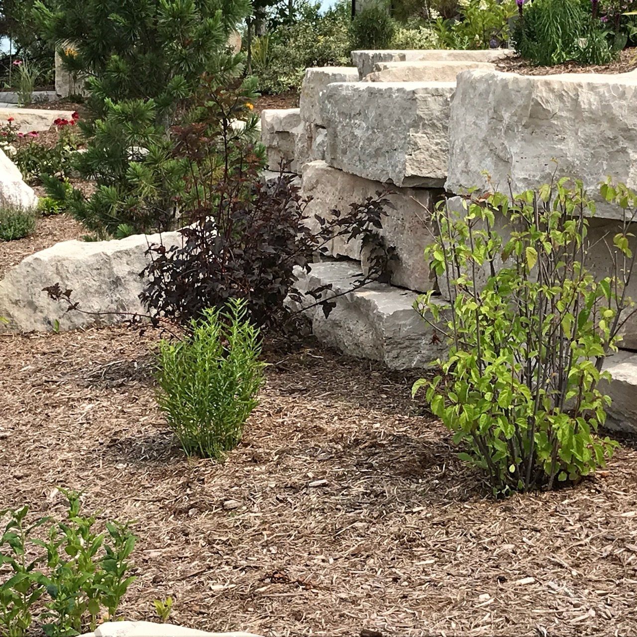 The Luxury Landscape Company, LLC photo