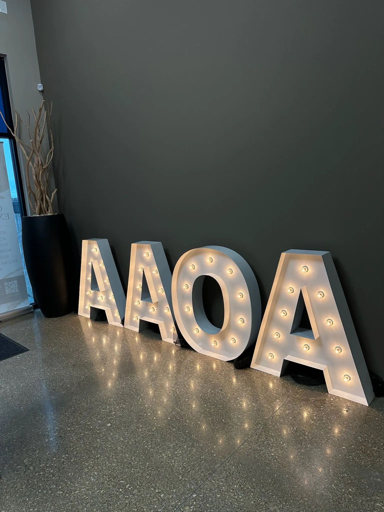 Illuminated marquee letters spelling “AAOA” on a glossy floor against a dark wall.