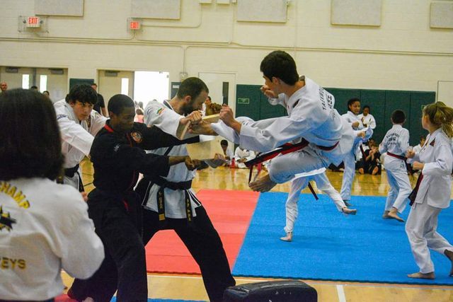 Martial arts lessons