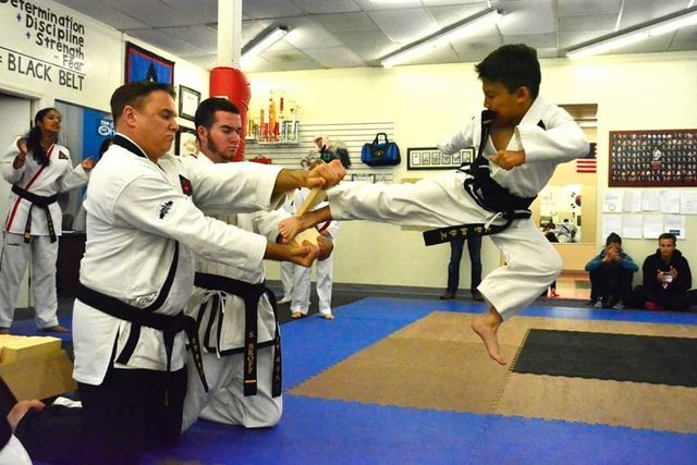 Martial arts lessons