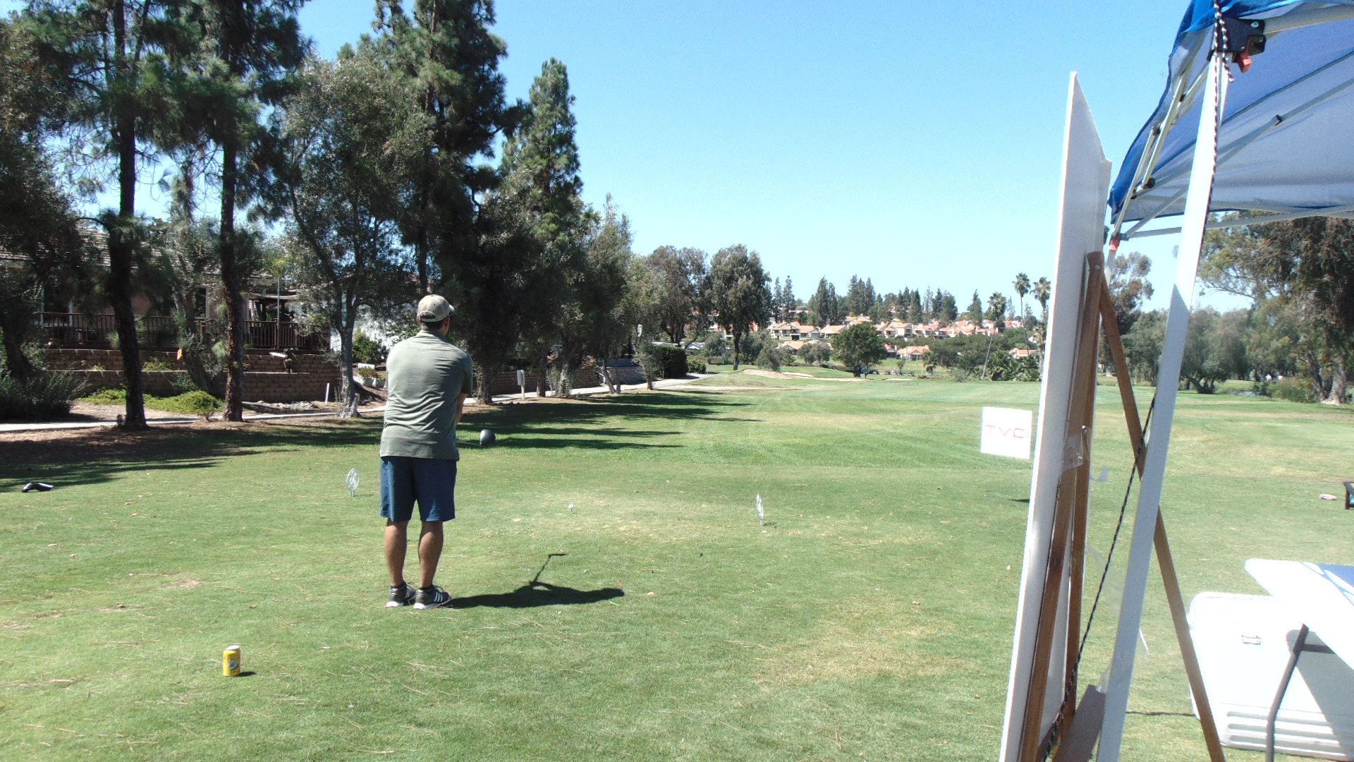 Golfer putting on a sunny green course with trees in the background