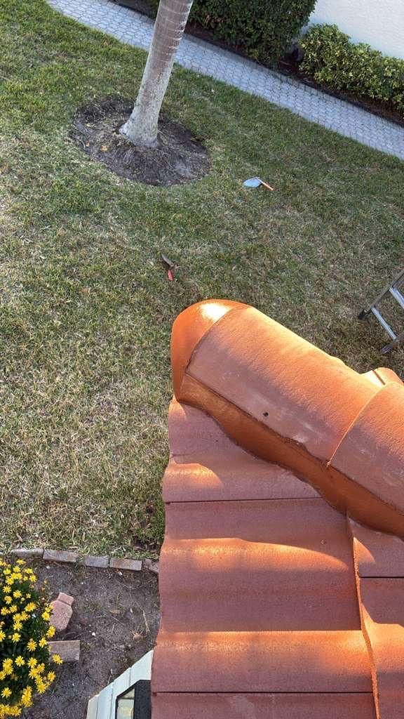 Brown tile roof edge with a view of grass, tree, and walkway.