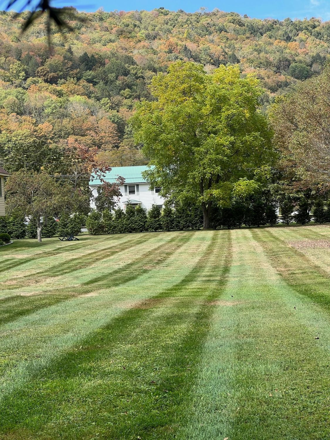 Striped green lawn leading to a white house beside a leafy tree, with autumn hills in the background