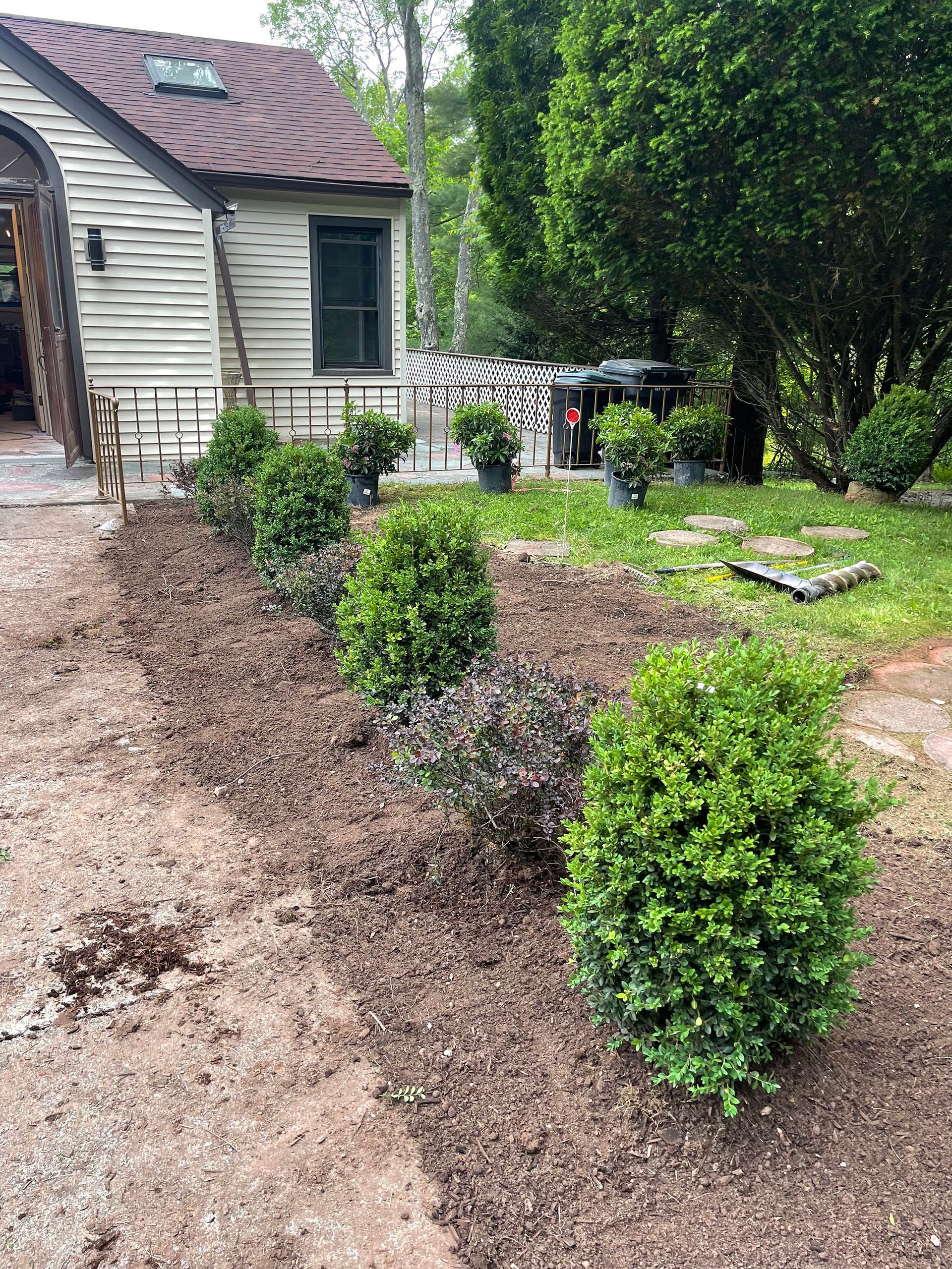 Row of green shrubs in newly mulched bed alongside a house.