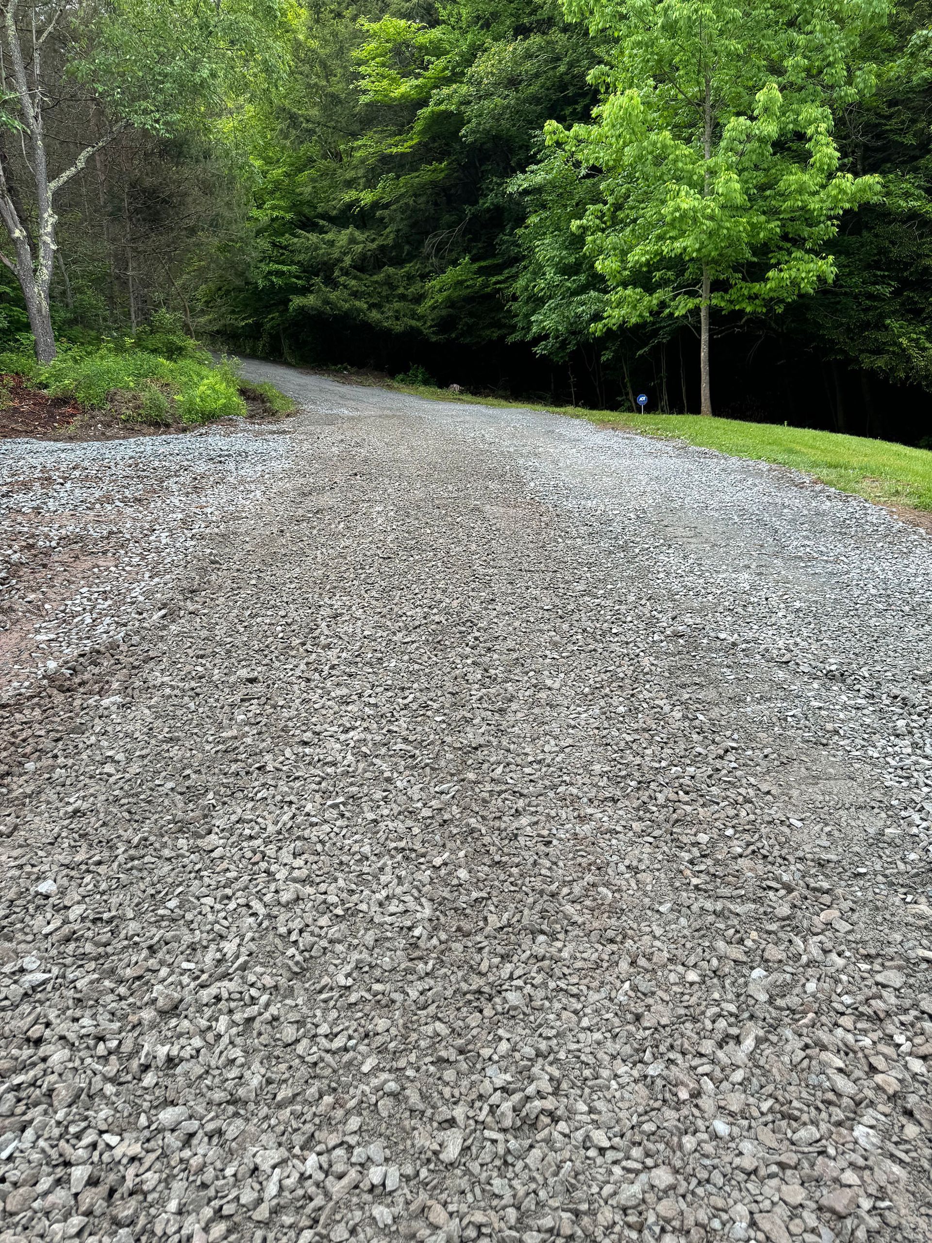 Gravel driveway winding into a wooded area, green trees on either side.