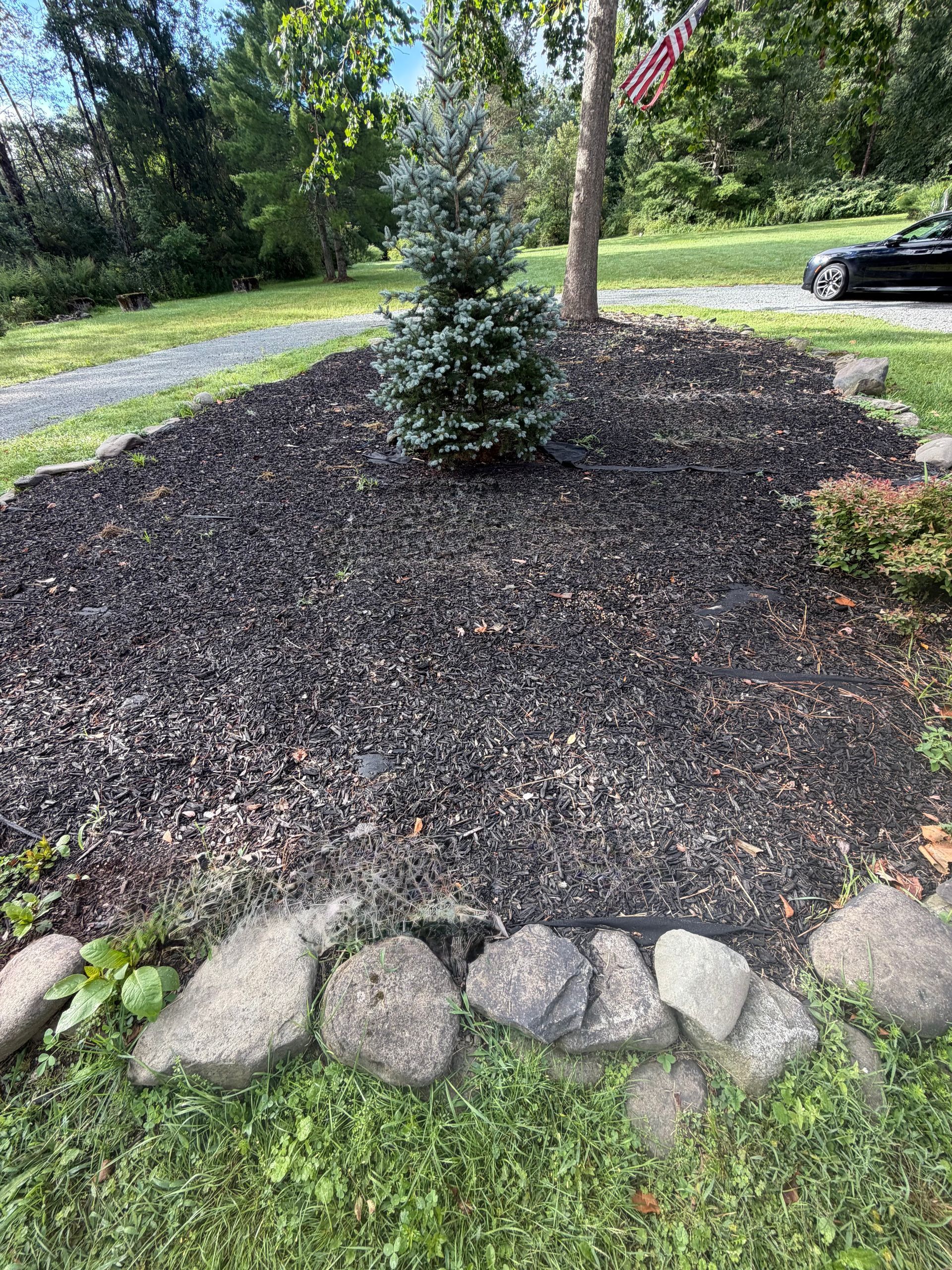Mulched garden bed with a small shrub, bordered by rocks and grass in a yard