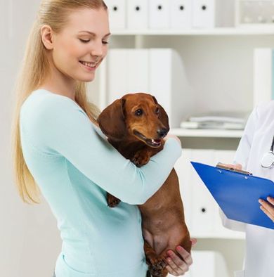About Countryside Animal Hospital | Moscow, PA Animal Care About Countryside Animal Hospital | Moscow, PA Animal Care