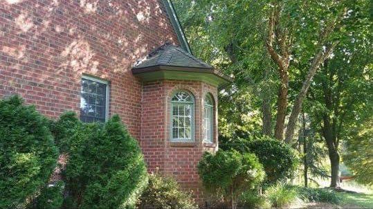 House with lush plants and trees