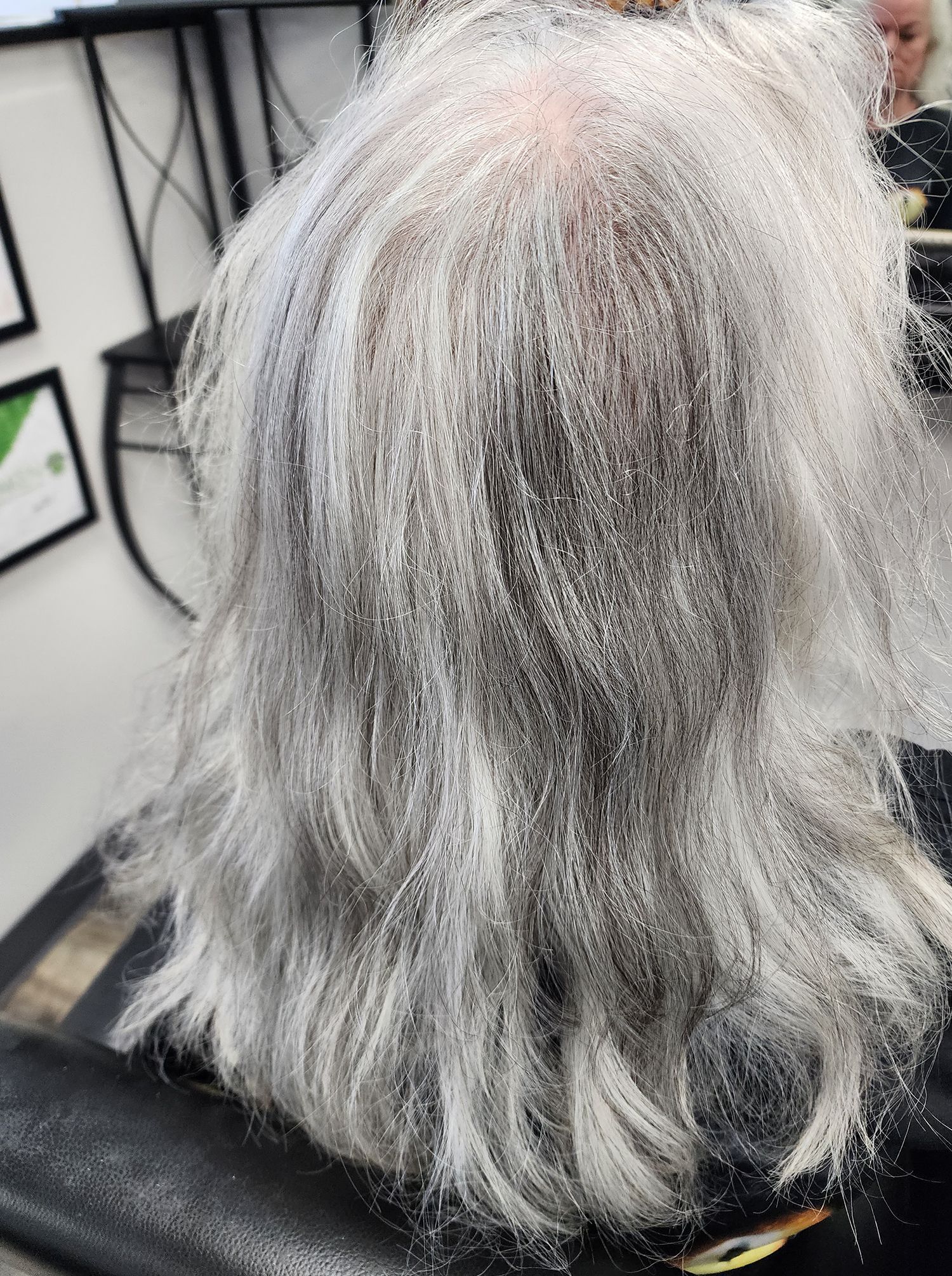 A woman with gray hair is sitting on a chair in a salon.
