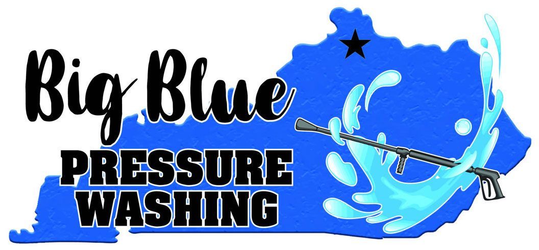 Big Blue Pressure Washing - logo