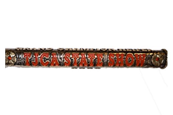 A close up of a stick with the word texas on it on a white background.