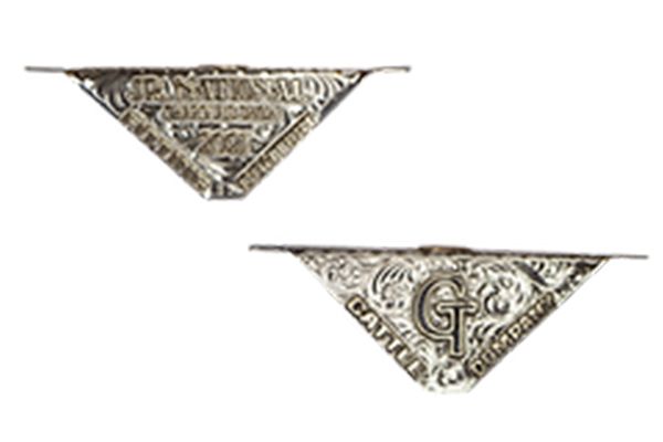 Two silver triangles with the letters g and t on them