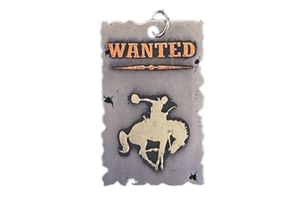 A wanted sign with a cowboy on a horse