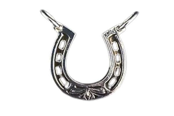 A close up of a silver horseshoe on a white background.