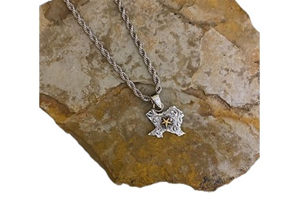 A necklace with a texas pendant on a rock