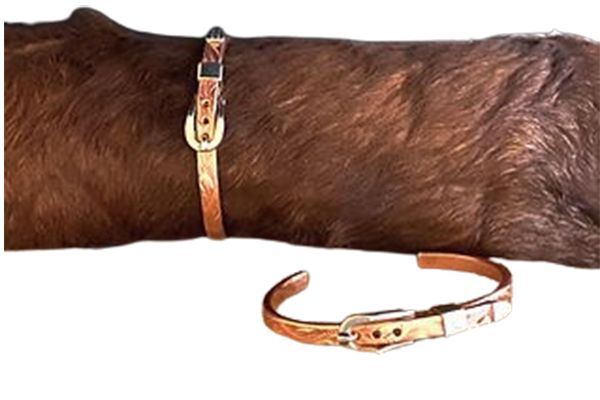 A brown dog is wearing a bracelet on its wrist.