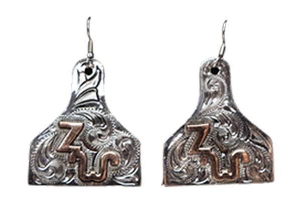 A pair of earrings with the letter z on them