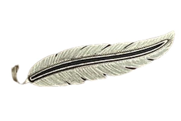 A close up of a feather on a white background.