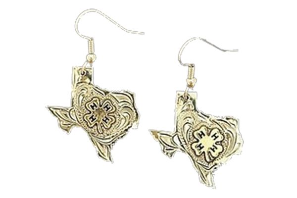A pair of earrings with a texas design on them.