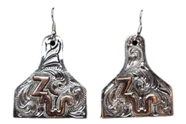 A pair of earrings with the letter z on them