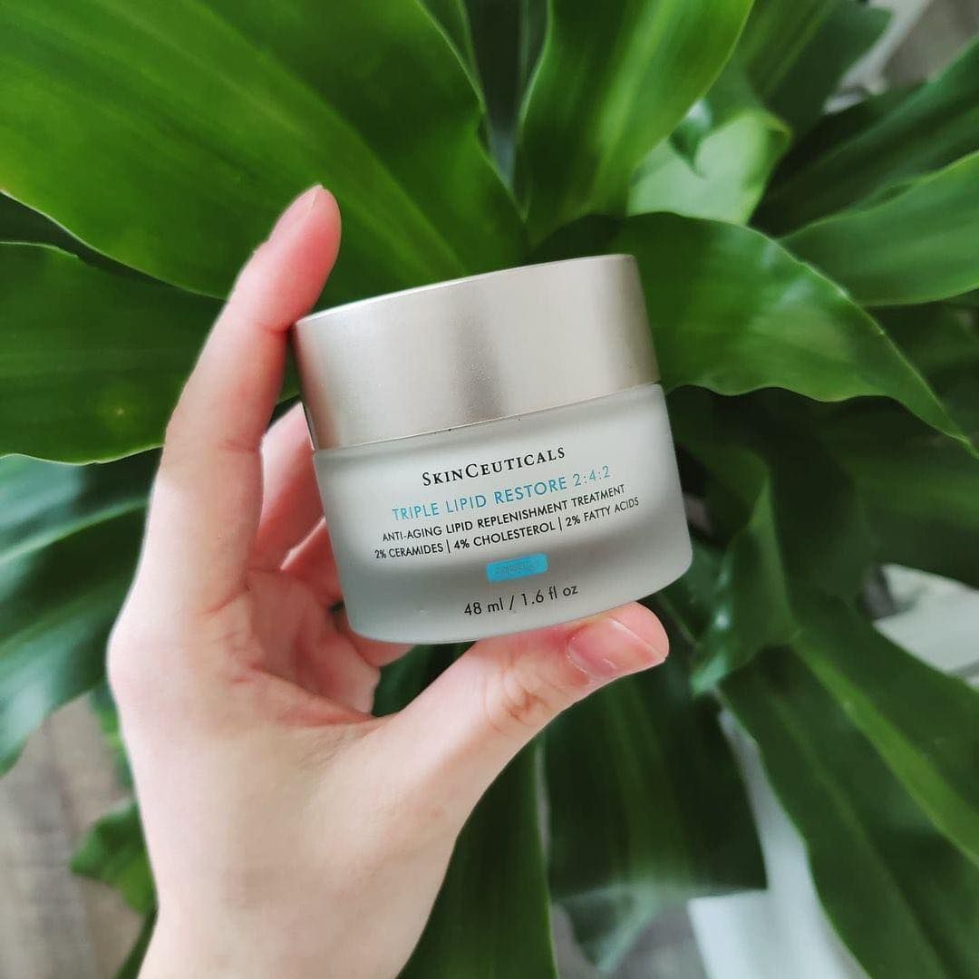 Hand holding a jar of moisturizer in front of a leafy green plant. The jar is light blue with a silver lid.