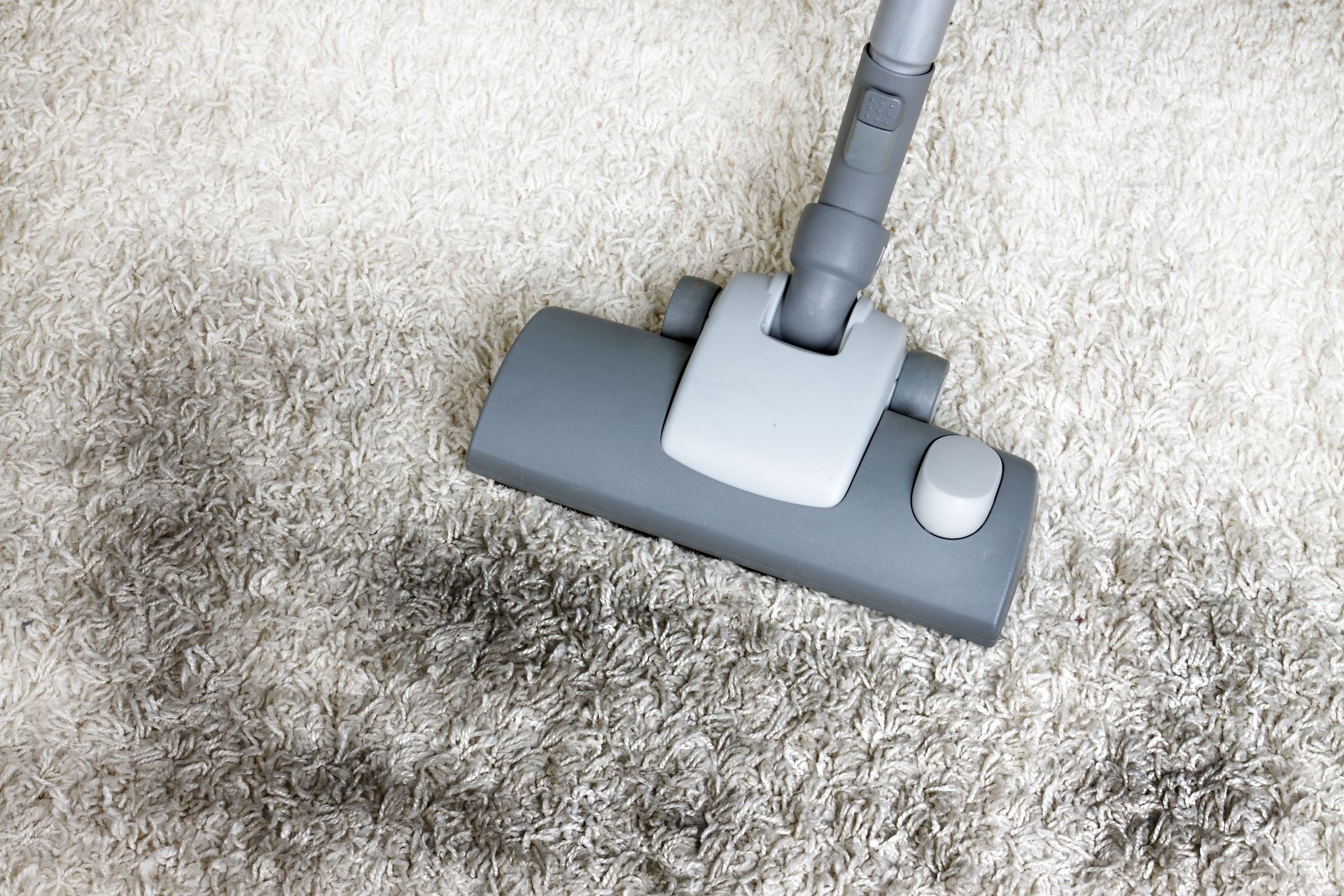 carpet cleaning