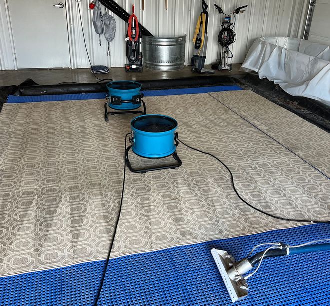 Dirty Dog Carpet, Surface and Duct Cleaning