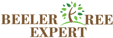 Beeler Tree Expert Co Inc Logo