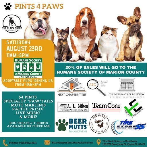 A group of dogs and cats are sitting next to each other on a poster.