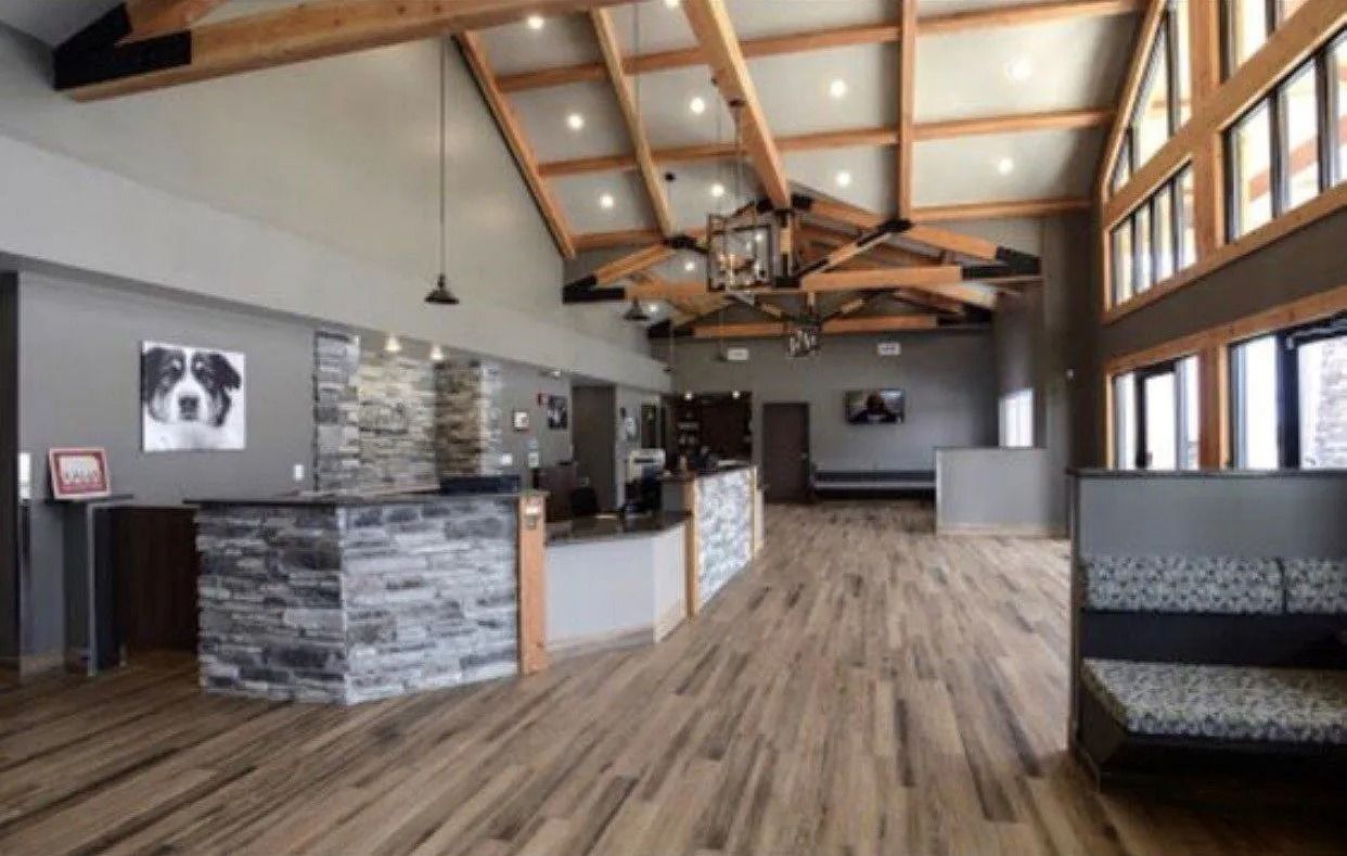 Reception area with stone and wood accents. A dog portrait hangs on the wall. Light wood floors, high ceiling.