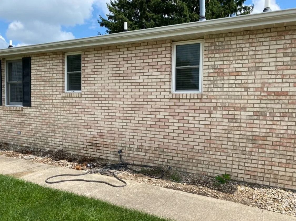 Brick house exterior with two windows, a sidewalk, and a strip of plants.