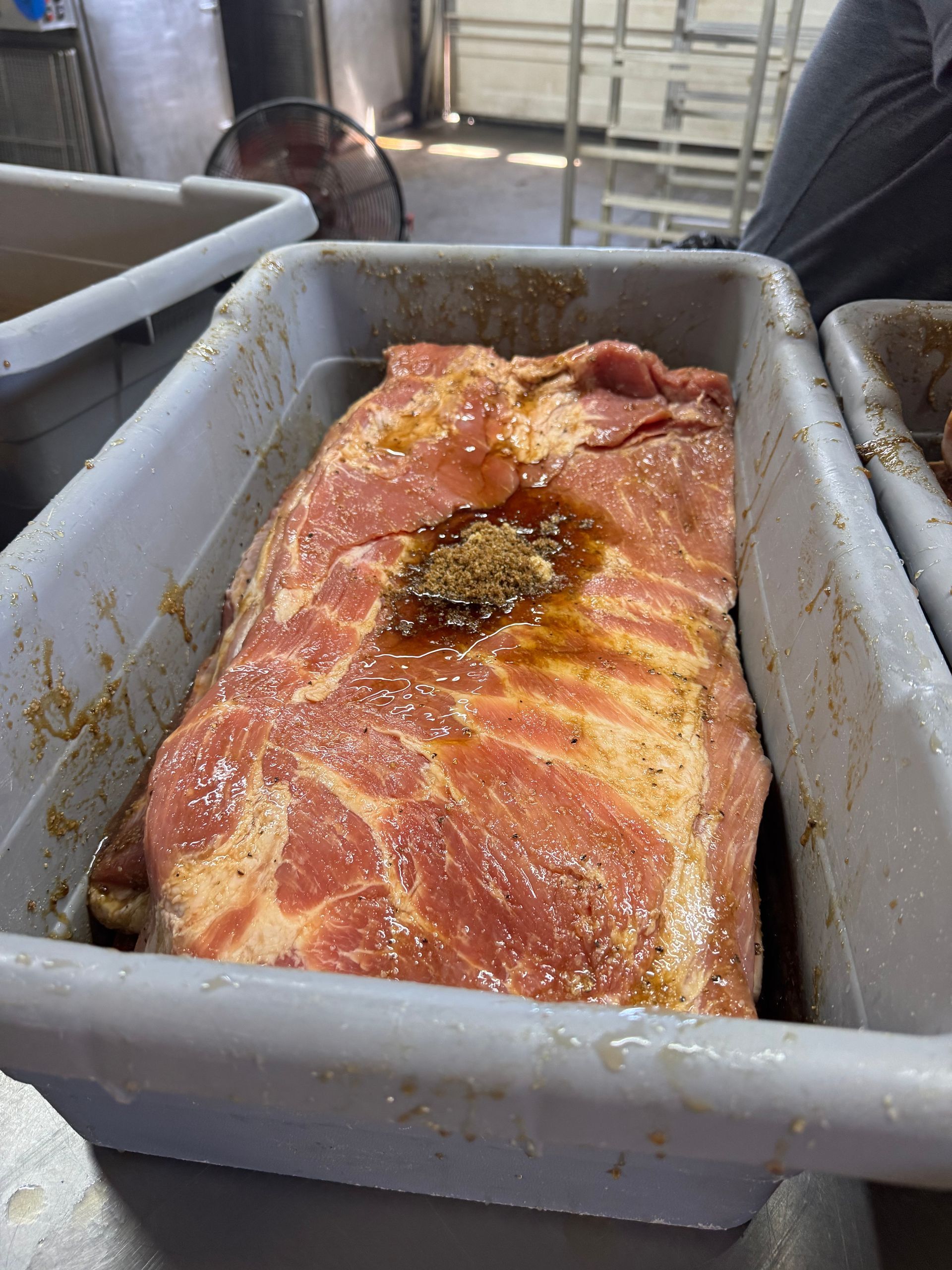A large piece of meat is sitting in a plastic container.