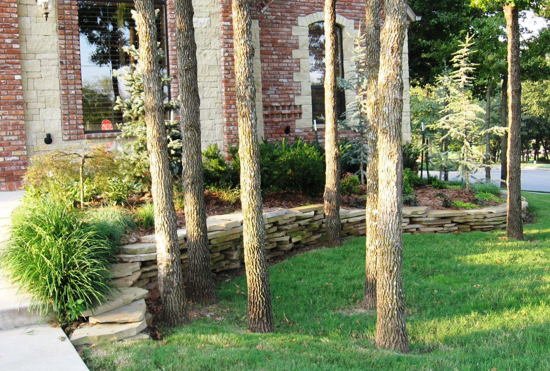 Edmond Landscapes & Ground Maintenance Inc image