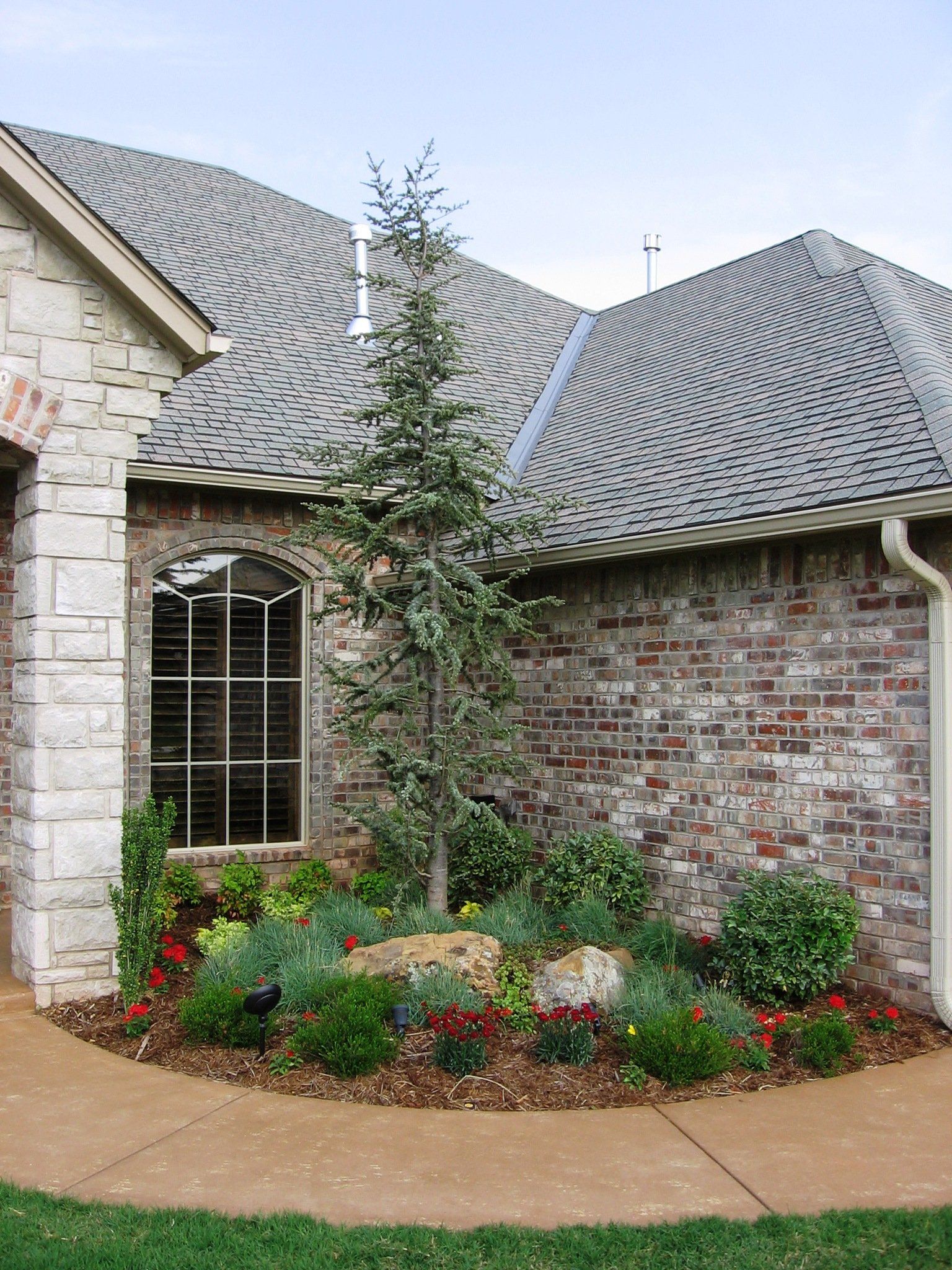 Edmond Landscapes & Ground Maintenance Inc image