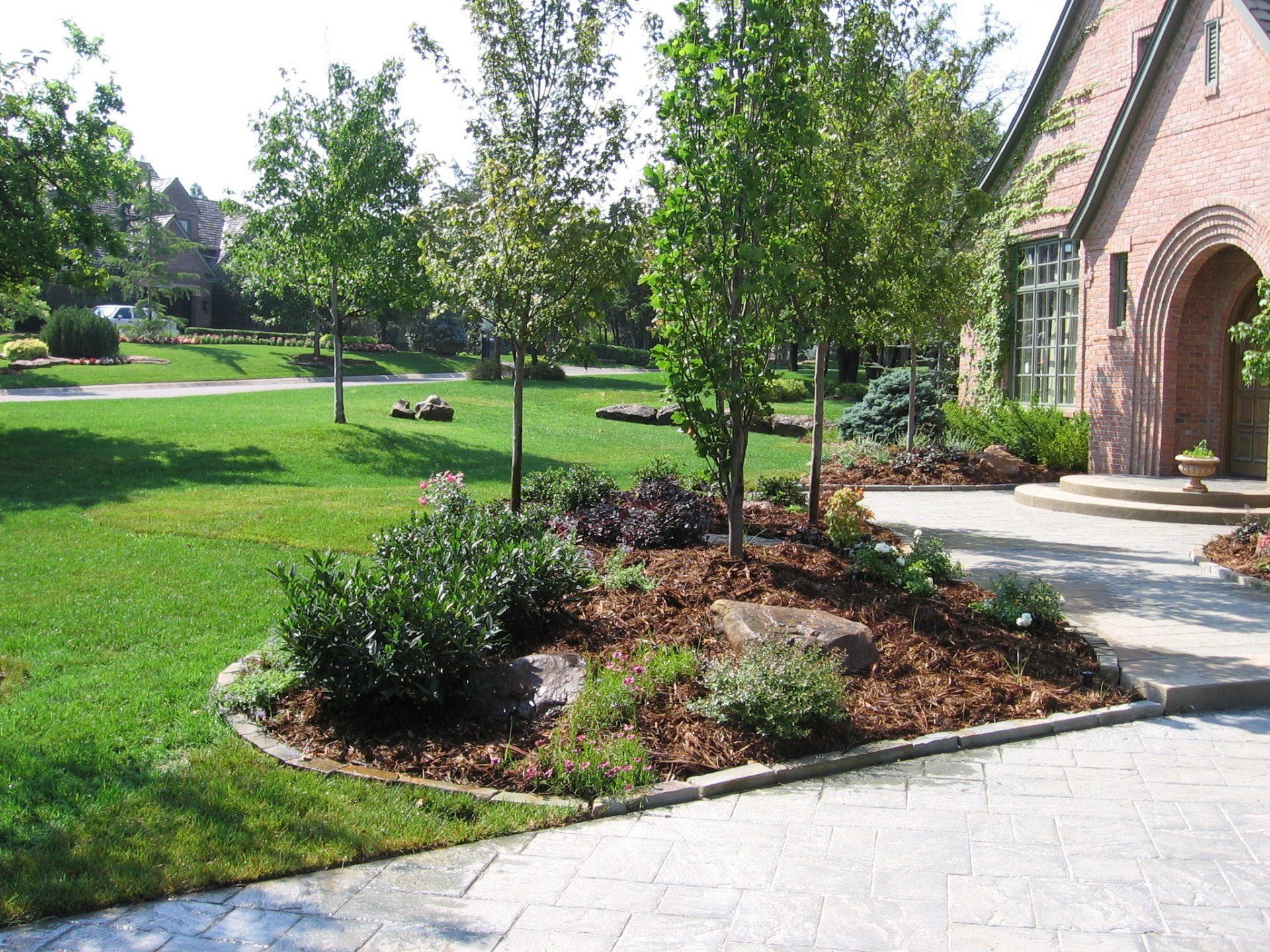 Edmond Landscapes & Ground Maintenance Inc image