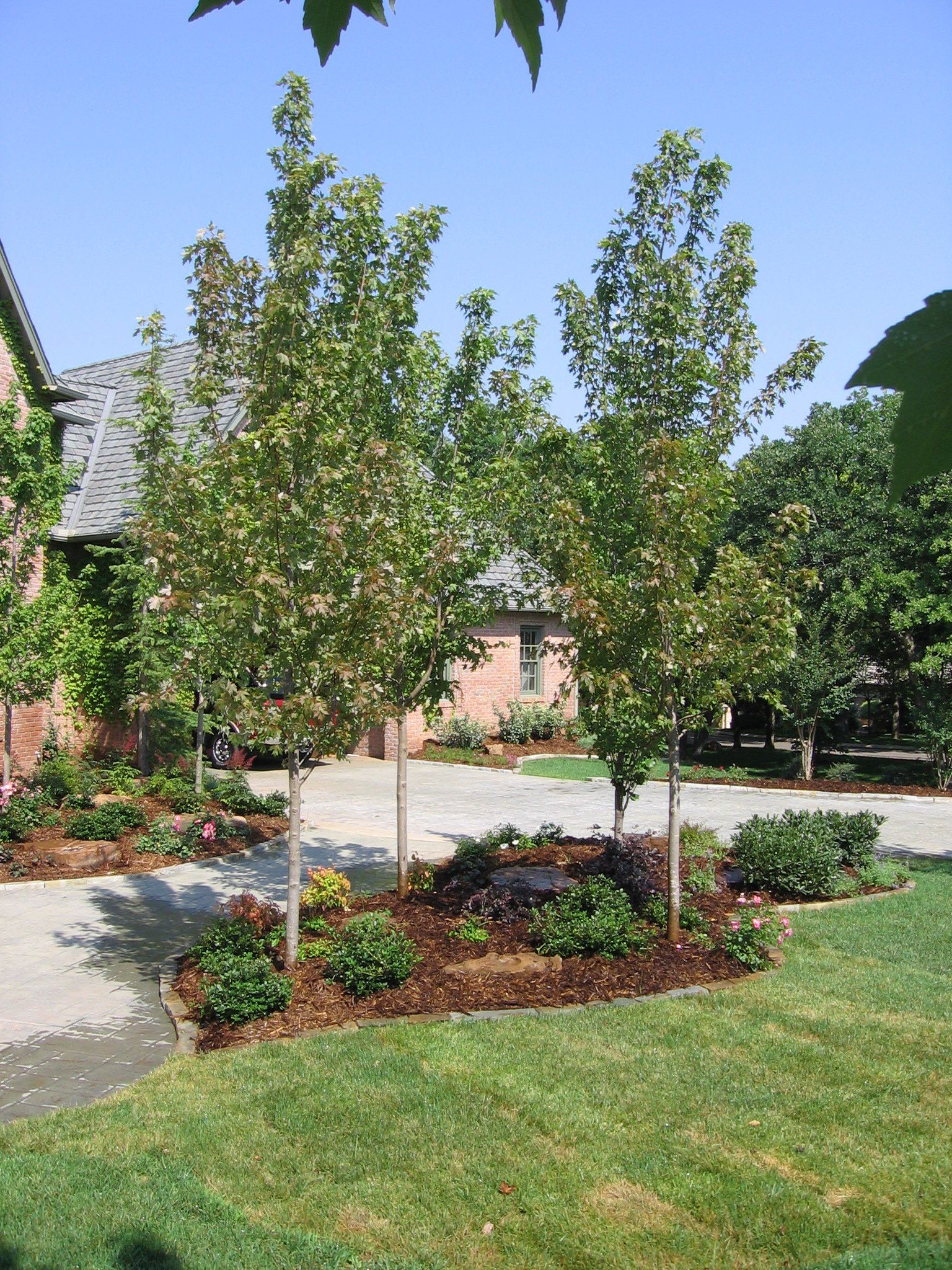 Edmond Landscapes & Ground Maintenance Inc image