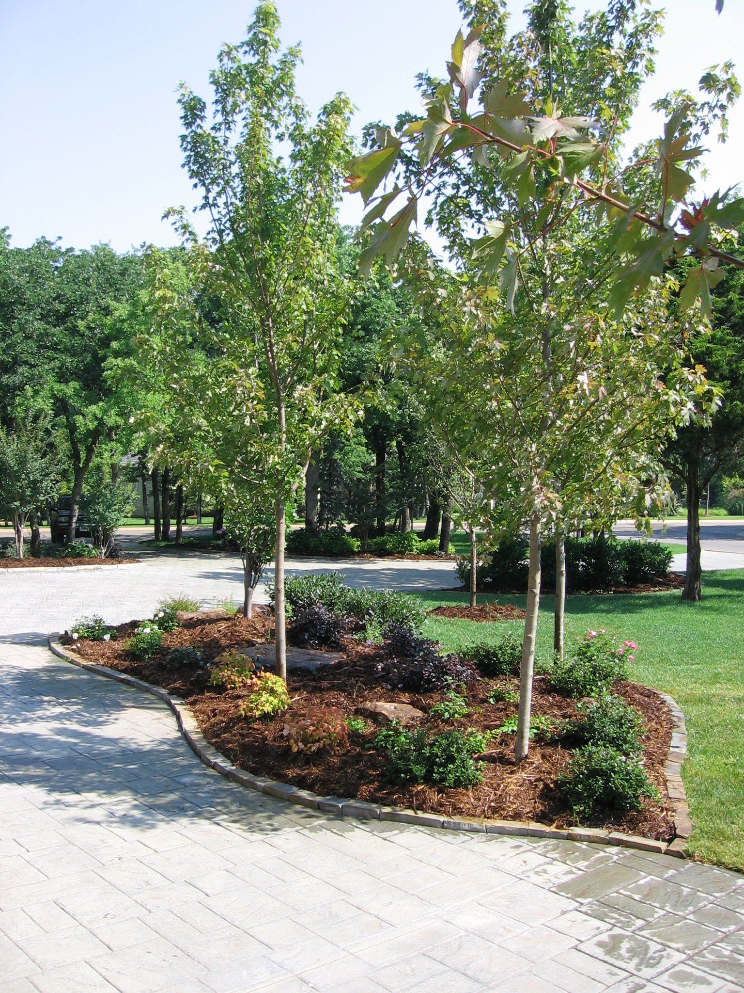 Edmond Landscapes & Ground Maintenance Inc image