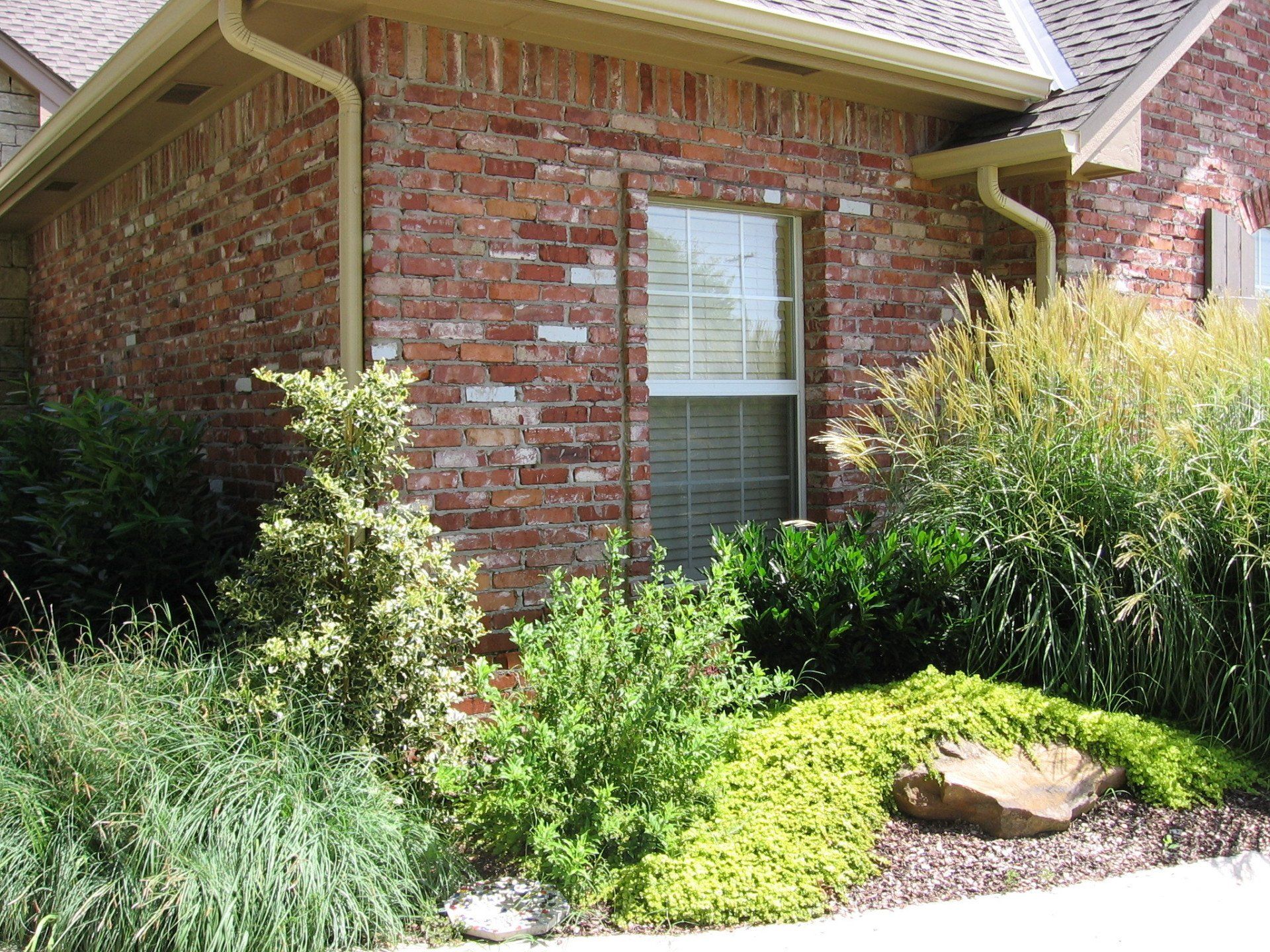 Edmond Landscapes & Ground Maintenance Inc image