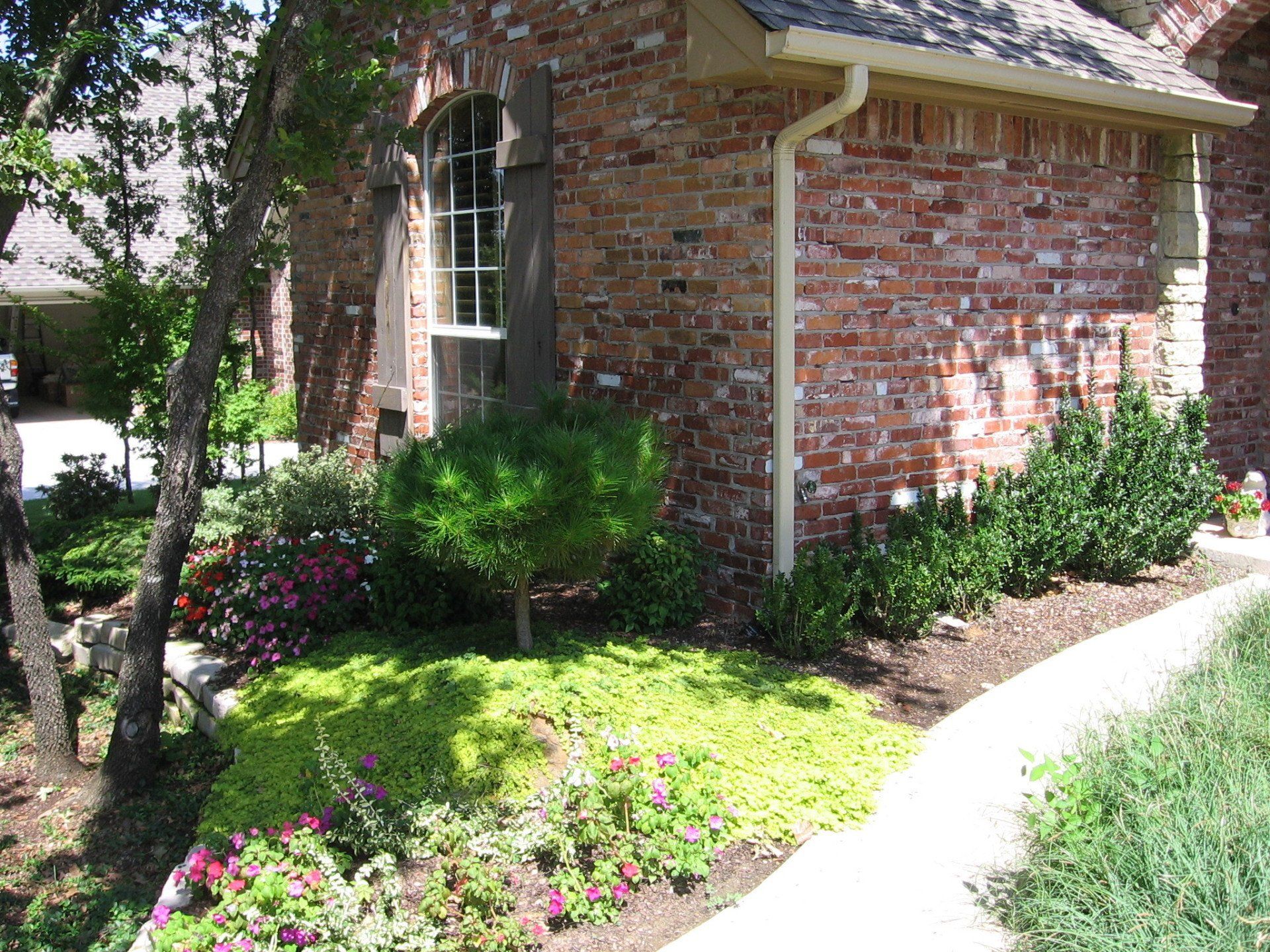 Edmond Landscapes & Ground Maintenance Inc image