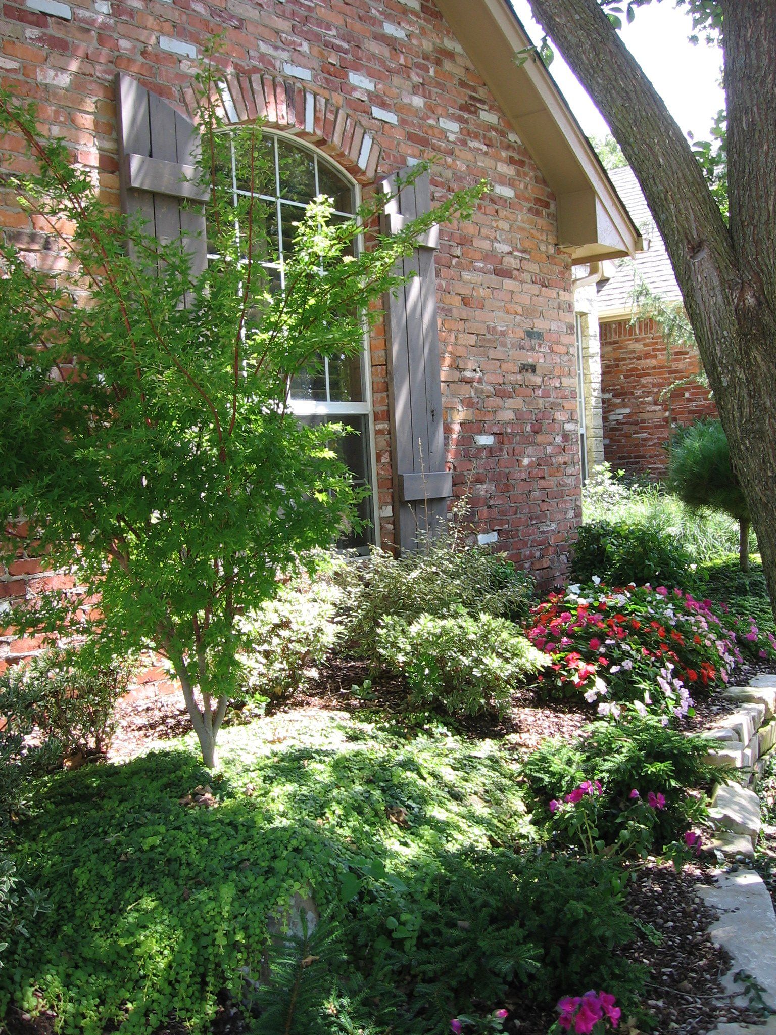 Edmond Landscapes & Ground Maintenance Inc image