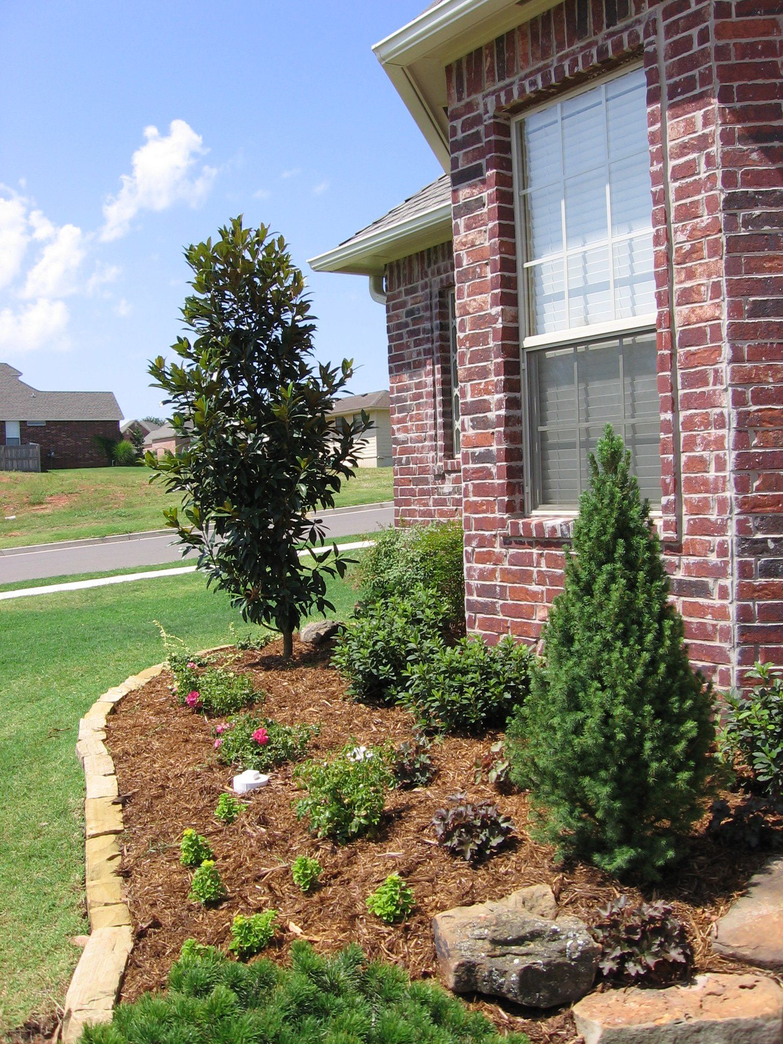 Edmond Landscapes & Ground Maintenance Inc image