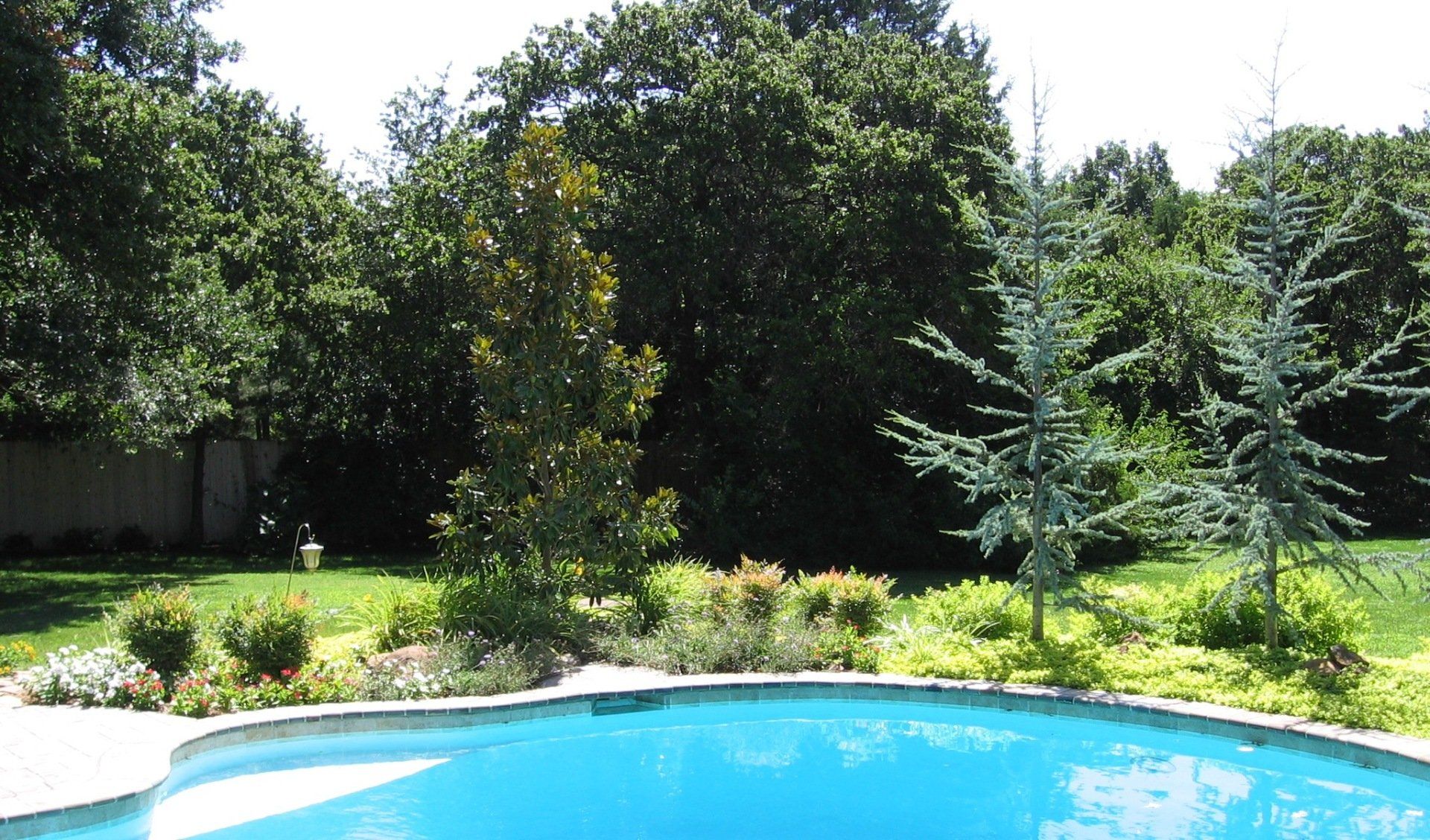 Edmond Landscapes & Ground Maintenance Inc image