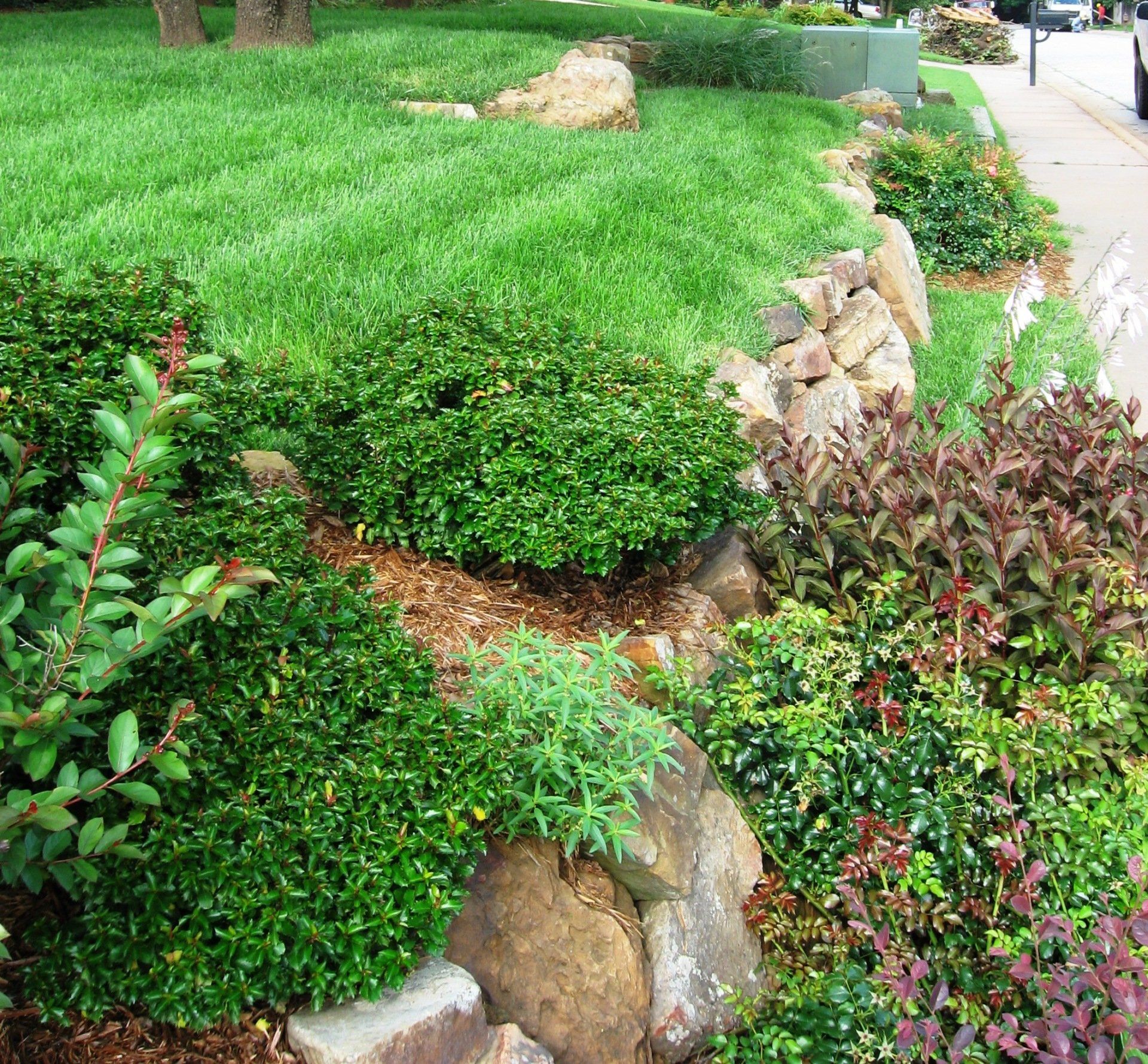 Edmond Landscapes & Ground Maintenance Inc image