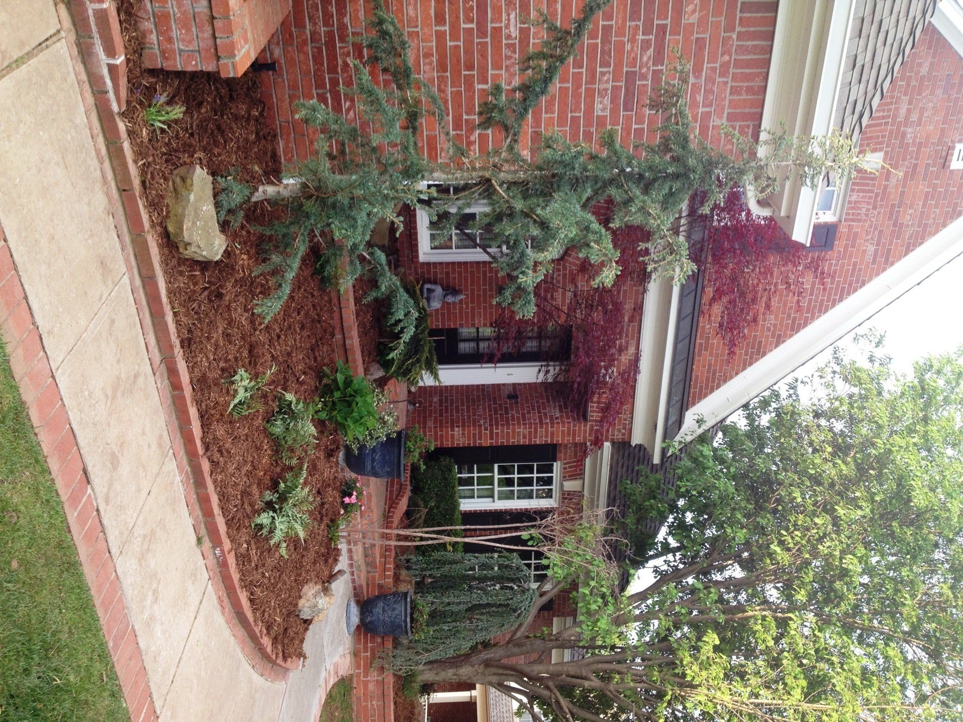 Edmond Landscapes & Ground Maintenance Inc image