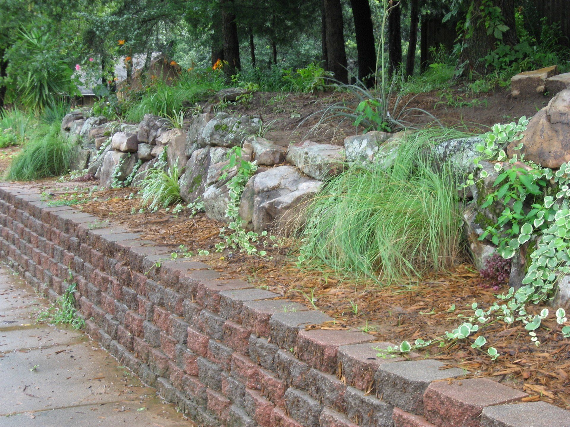 Edmond Landscapes & Ground Maintenance Inc image