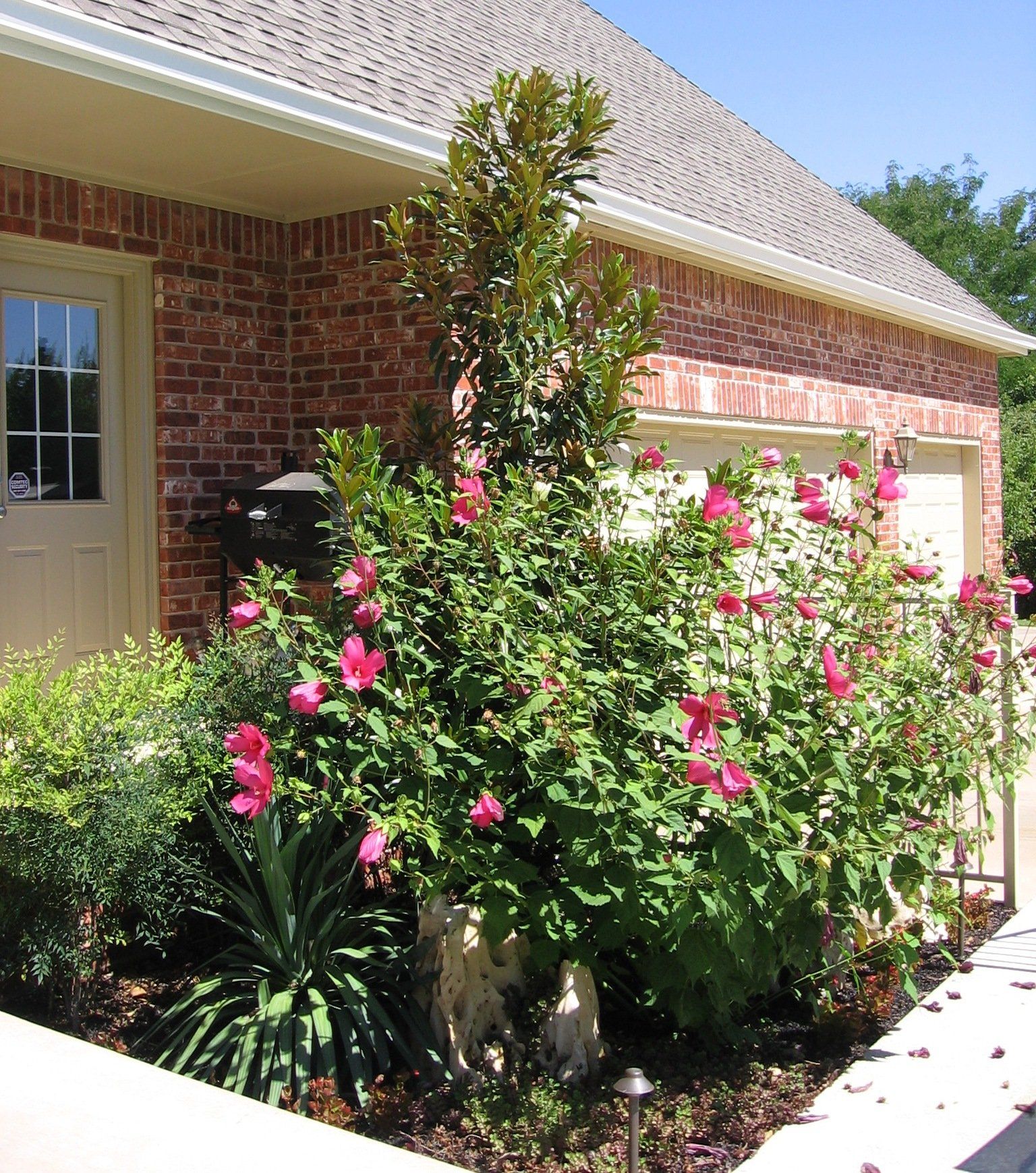 Edmond Landscapes & Ground Maintenance Inc image