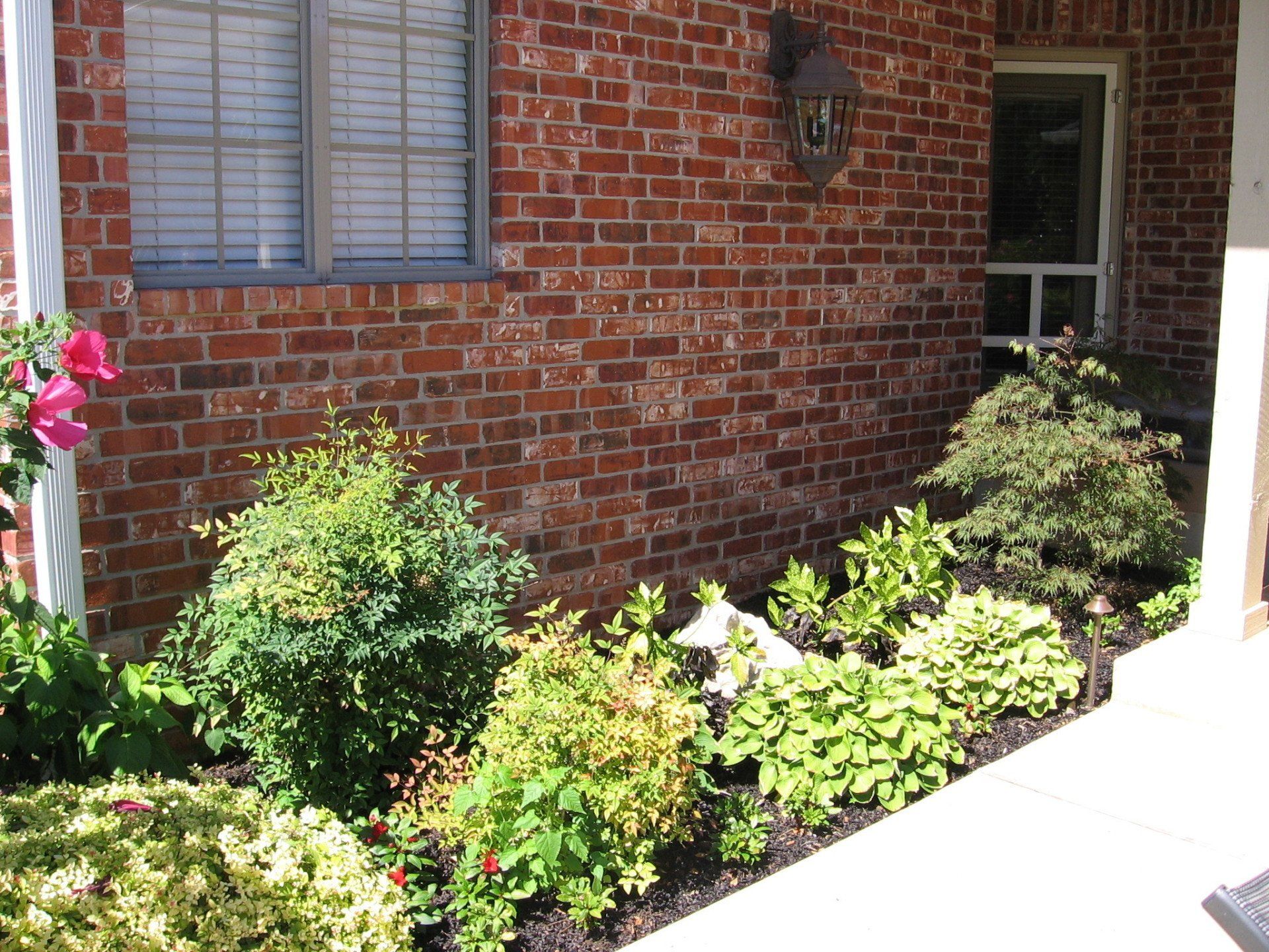 Edmond Landscapes & Ground Maintenance Inc image